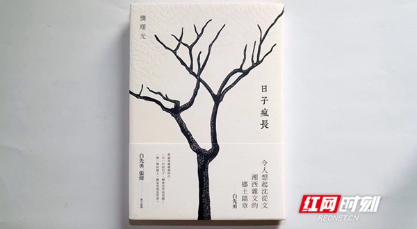 白先勇作序，《日子疯长》繁体中文版在中国台湾出版发行