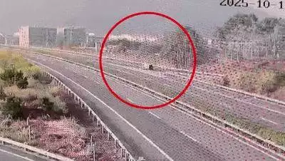 高速路口走错竟逆行！贺州一司机被严惩，驾照扣12分重考