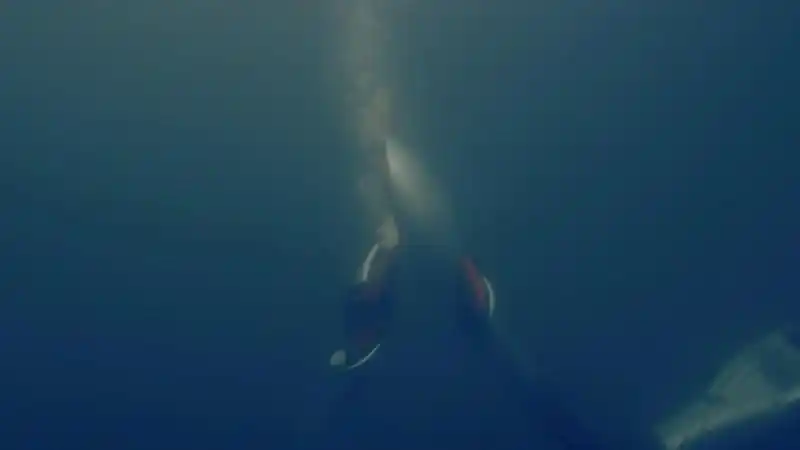 北京冬奥会火炬传递，水下机器人火炬对接引网友关注