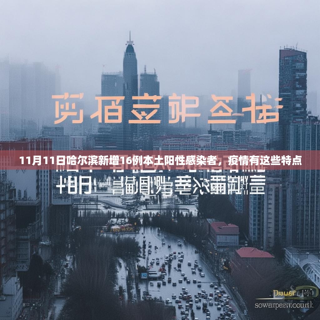 11月11日哈尔滨新增16例本土阳性感染者,疫情有这些特点