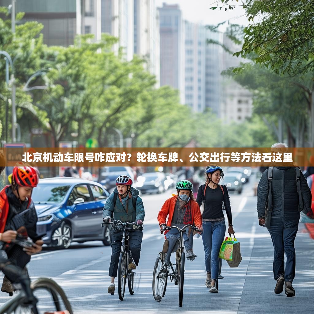 北京机动车限号咋应对？轮换车牌、公交出行等方法看这里