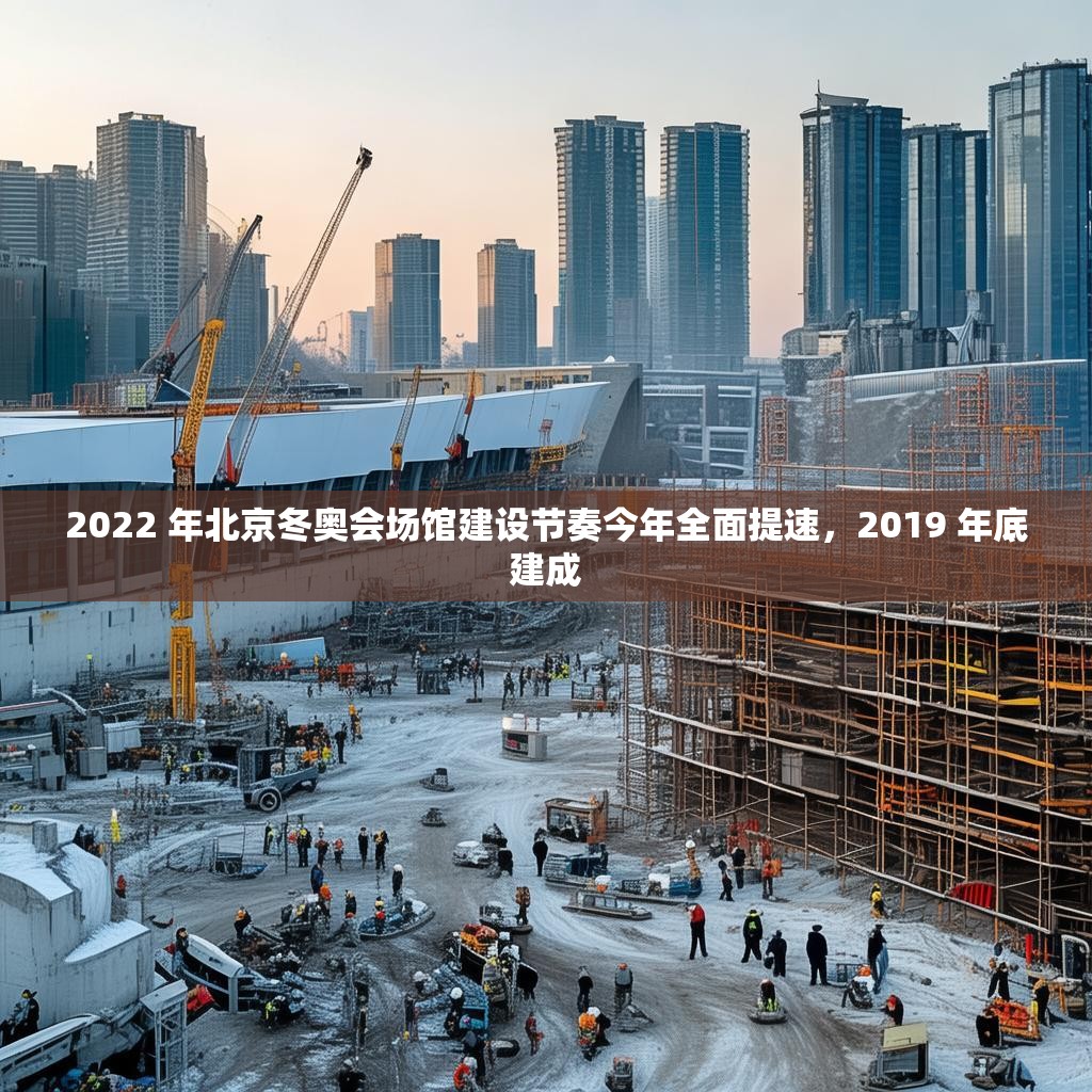 2022 年北京冬奥会场馆建设节奏今年全面提速，2019 年底建成