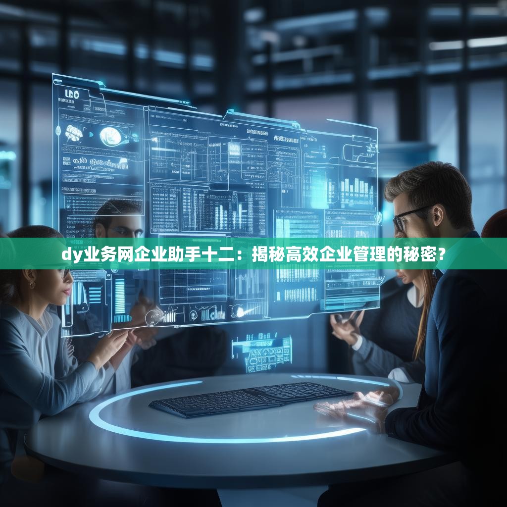 dy业务网企业助手十二：揭秘高效企业管理的秘密？