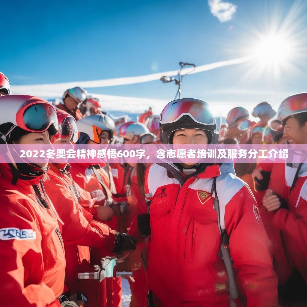 2022冬奥会精神感悟600字，含志愿者培训及服务分工介绍