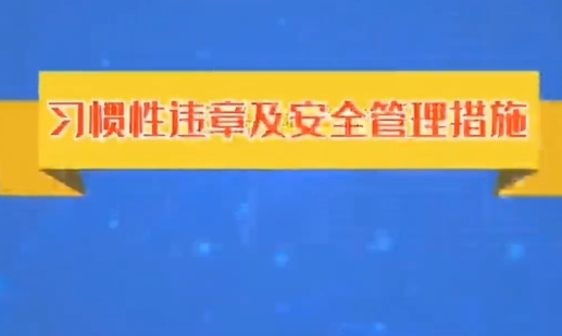 习惯性违章300例：高危行业员工必知的安全操作指南与制度参考