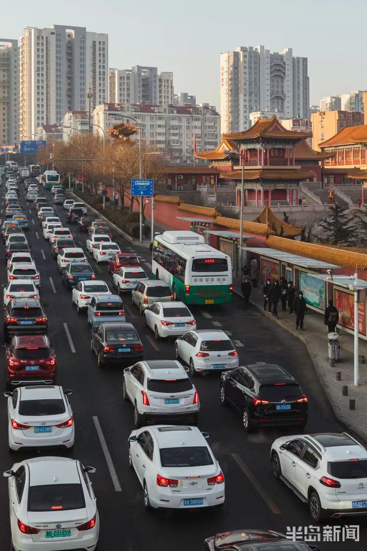 青岛成罚款冠军，违章高发背后竟藏这些原因