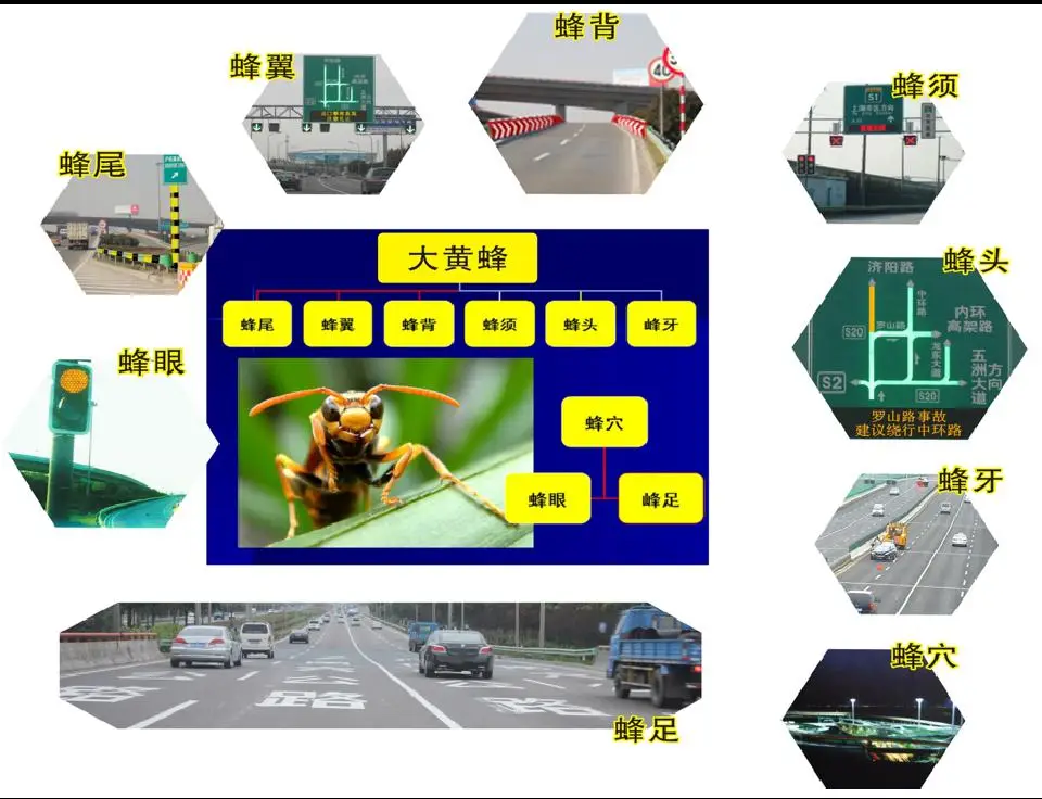 多车道高速出口隐患多，大黄蜂组合降低事故量