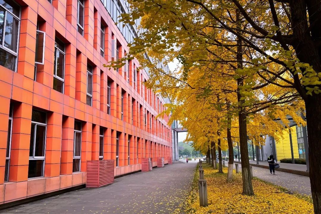 四川大学111门课程入选省级一流,你选过几门?