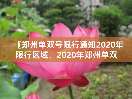 2020年郑州单双号限行通知：时间、区域及规定详情