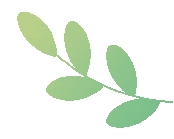 2025年河南高考体检安排：时间、项目、地点及注意事项