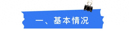 2025年山东夏季高考评卷情况公布，涉及多门高考科目