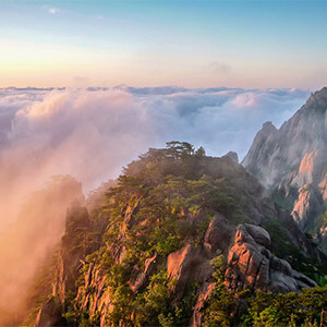 高速事故致父母双亡,我能获赔多少