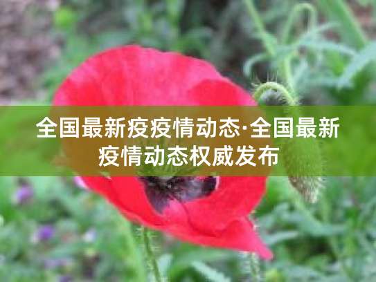 12月21日24时新型冠状病毒肺炎疫情最新情况汇总