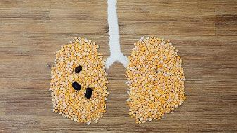 石家庄本轮疫情为何爆发？农村成重灾区，防控短板待补齐