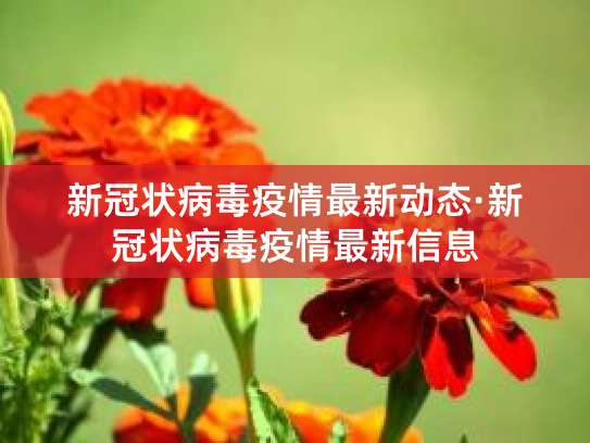 新冠疫情现状及走势分析，世卫为何不提高风险级别？