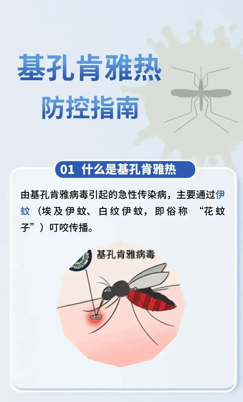 基孔肯雅热疫情防控关键期，做好宣传引导与隐患消除工作