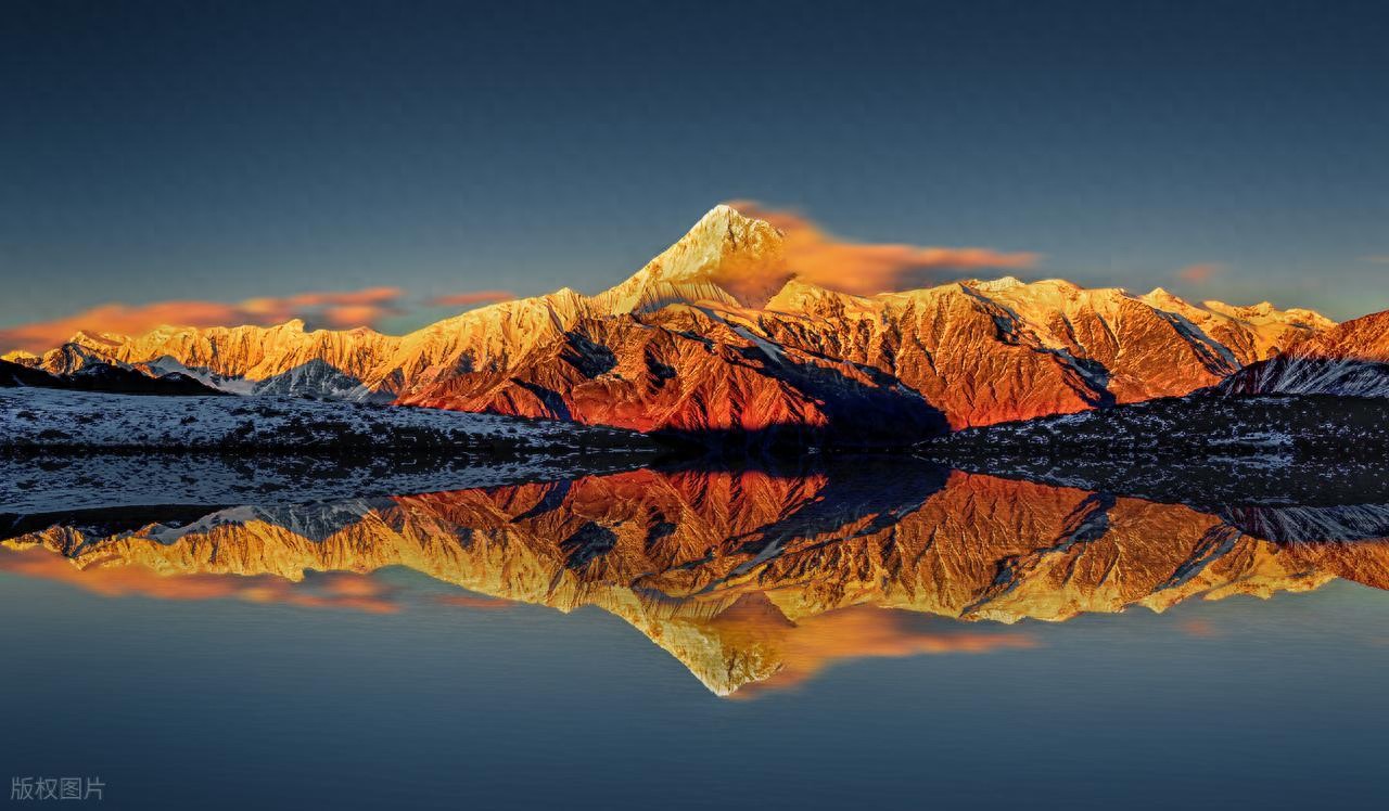 2026 届高考生物二轮复习策略：素养导向精准突破提分法