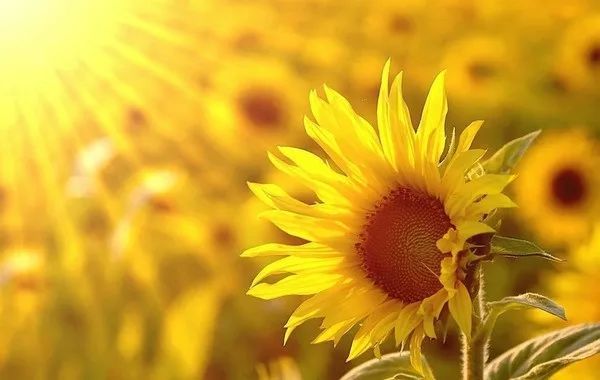 疫情对中国经济影响几何？非典时期数据或可为参考