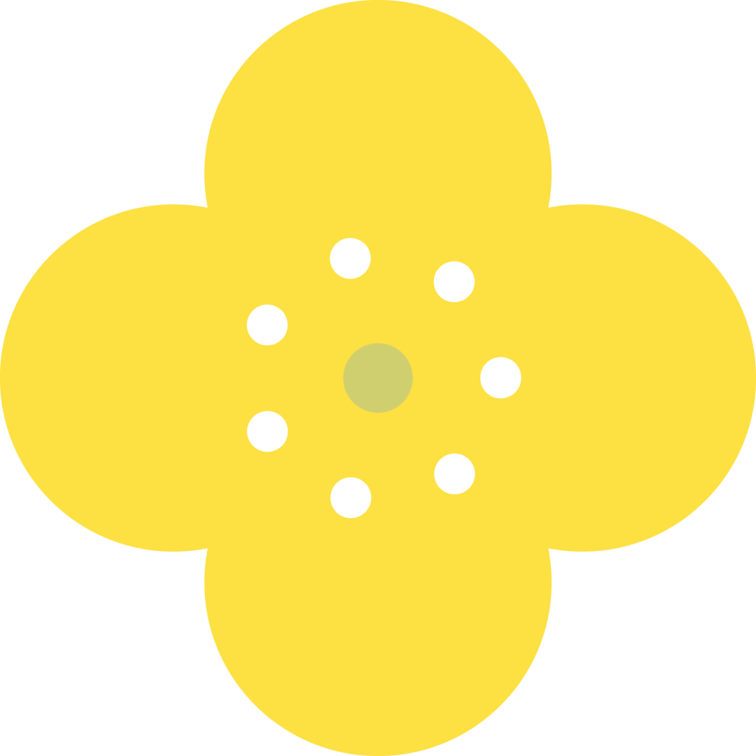 大学生心理健康标准与情绪调节 保持健康心态的建议