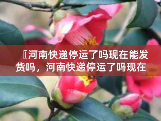 河南快递停运原因大揭秘！疫情、天气、暴雨影响全知道