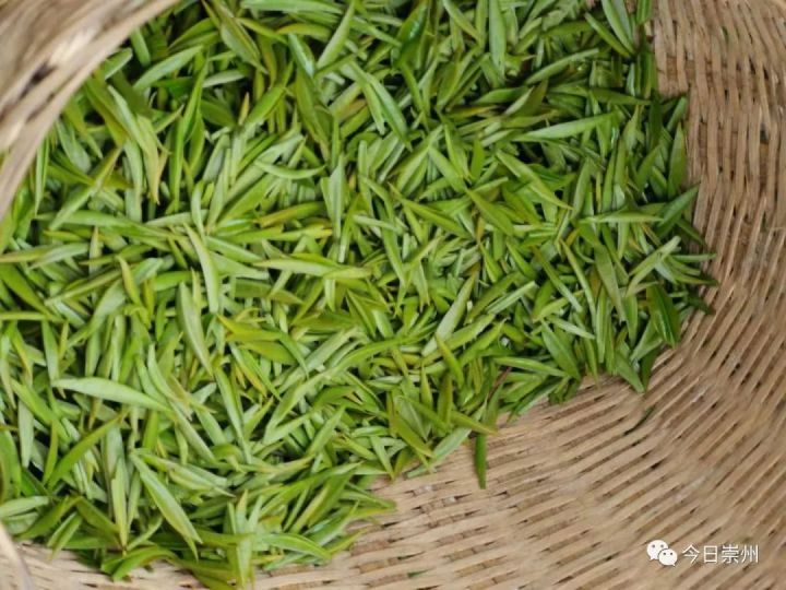 崇州人社局助力大学生创业,发放贷款解资金难题圆梦想