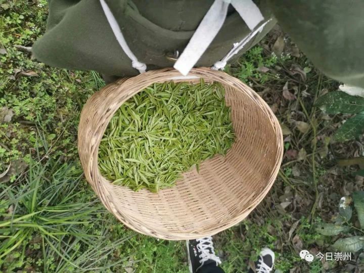 崇州人社局助力大学生创业,发放贷款解资金难题圆梦想