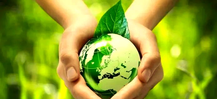 十大适合大学生的创业项目,打印店成创新创业新领域