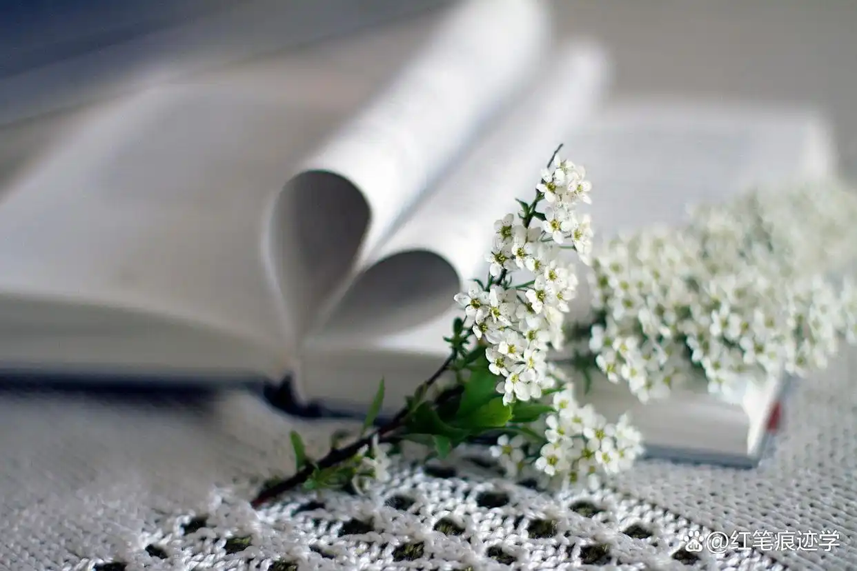 大学社团选对方向很关键，这三类社团为就业履历加分