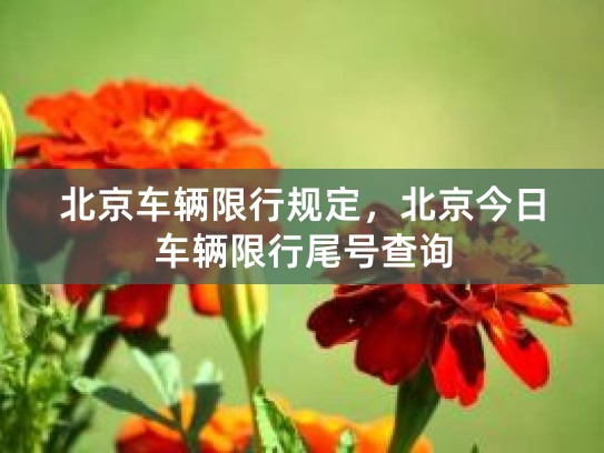 北京私家车及外地车限行规定，限行时间、范围、尾号规则全解