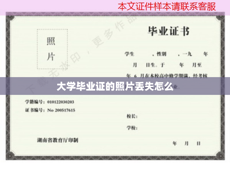 大学毕业证钢印用途及丢失补救办法，你知道吗？