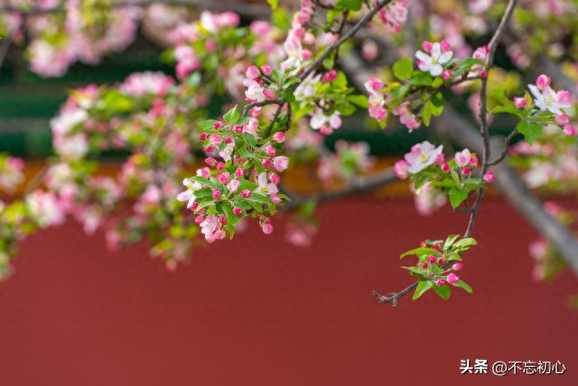 疫情后生活多变，如何顺势知足安顿自我？老祖宗三字道破真相