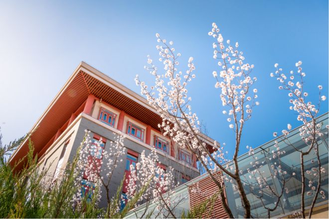 2026年ABC中国大学排名：民族类高校表现亮点与尴尬并存