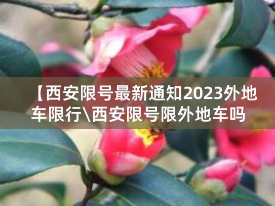 外地车在西安限号吗？限行规定、处罚标准全知道