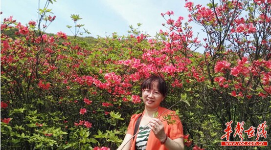 高考文综政治冲刺建议：保温知识，构建体系提效率