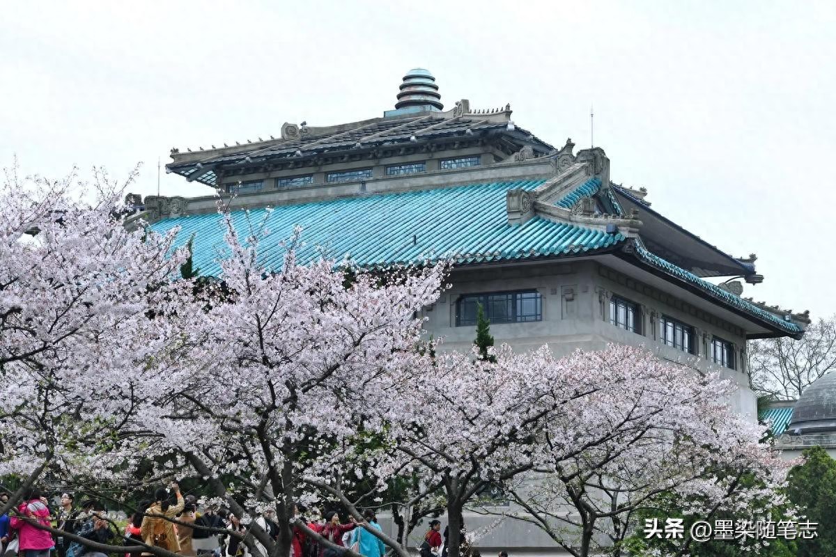 高考冲刺压力大怎么办？这份实用指南帮你轻装上阵