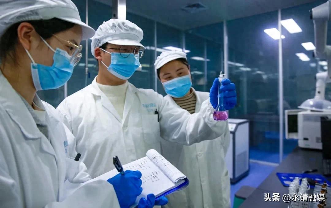 2026大学就业新政策：毕业生求职补贴与就业渠道全攻略