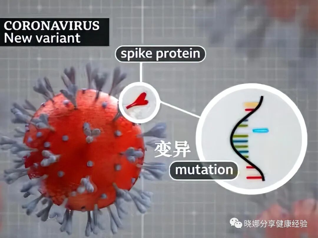 新冠病毒全球反复爆发，超5亿人感染6百万人死亡