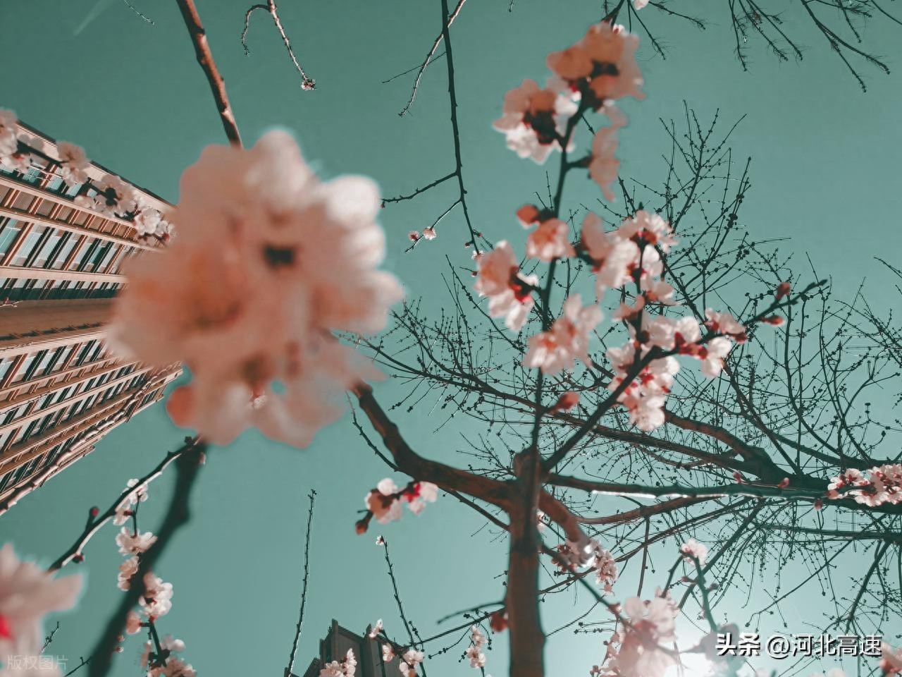 京哈京台等高速施工占道，出行请注意车距