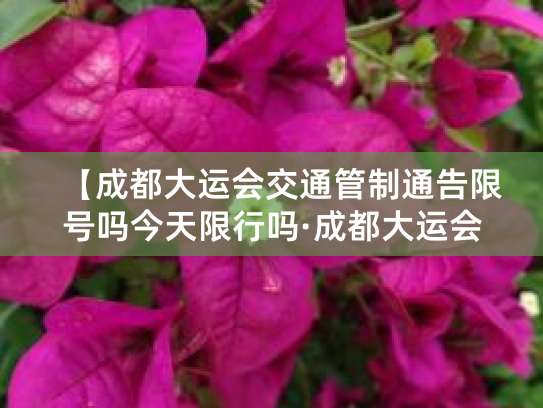 外地车在成都怎么限行？工作日早晚高峰禁入