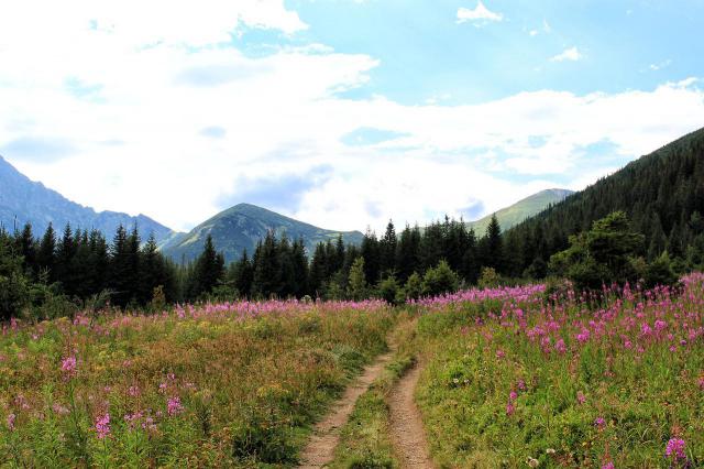 冬奥会环保理念：看闭幕式感受绿色办奥